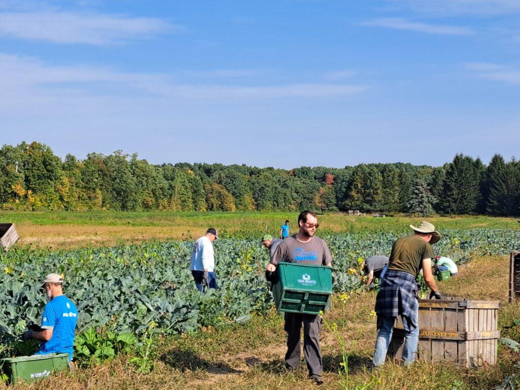 MOTOR volunteers harvesting vegetables in a farm field during a community service project, collecting produce in green bins on a sunny day.