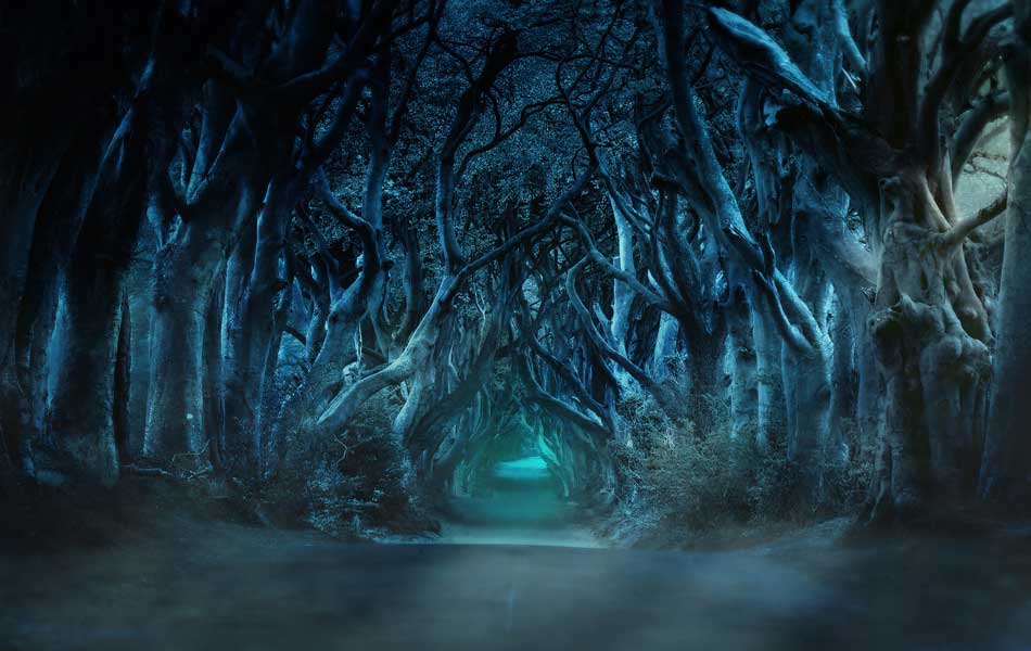 Game of Thrones and Belfast City Tour