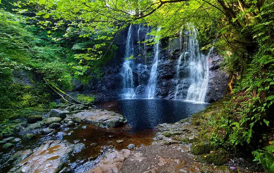 Glenariff Forest Park