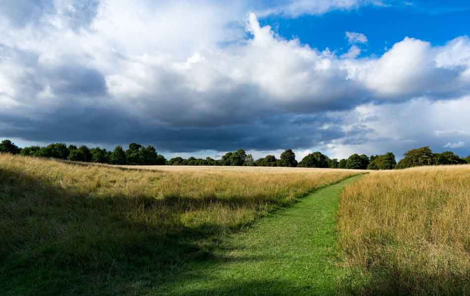Phoenix Park