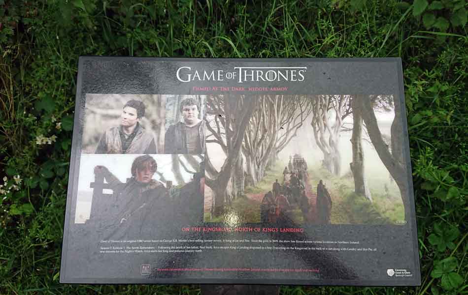 The-Dark-Hedges-1