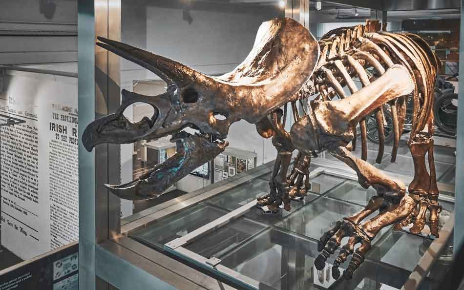 Ulster Museum